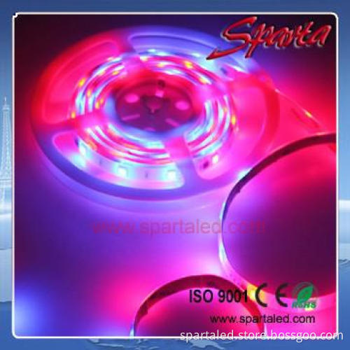 DC12V high bright led strips dream color